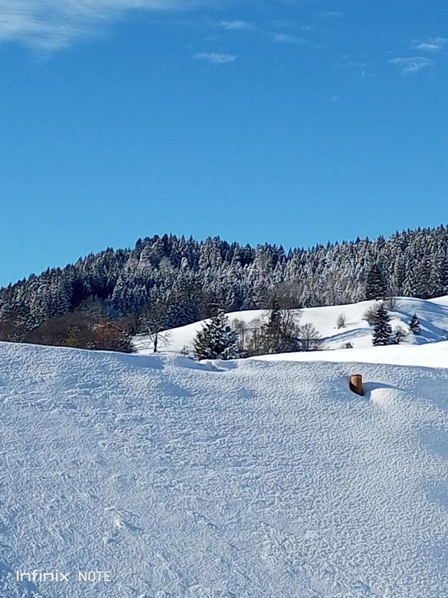 Allgaeu Vibes - Fusslaeufige Erreichbarkeit Vom Bahnhof, Mit Aussicht, Wettergeschuetzter Balkon Oberstaufen Esterno foto